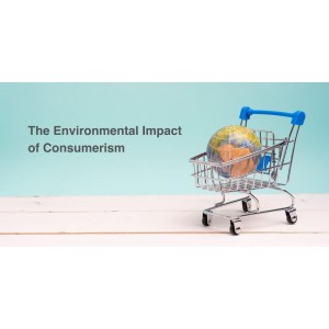 Strategic Consumerism: Navigating the European Retail Landscape in 2026