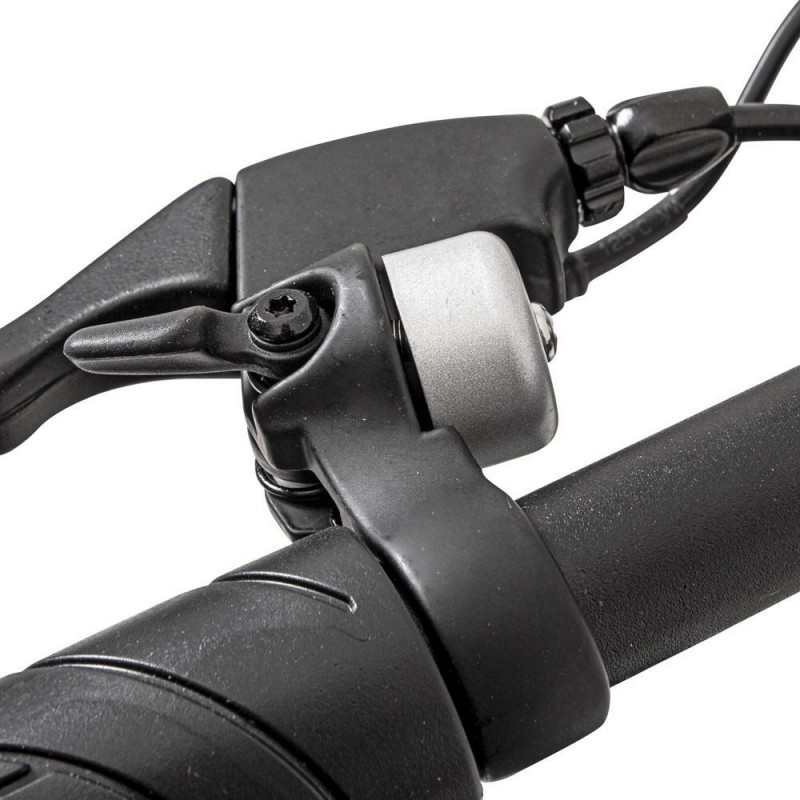 Electric Scooter with Removable Seat and Basket holm5701